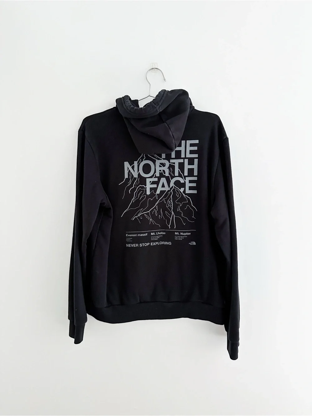 The North Face Evolution Half Dome Hoodie Men's Large Black Graphic Pullover
